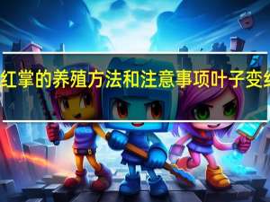 红掌的养殖方法和注意事项叶子变红的花