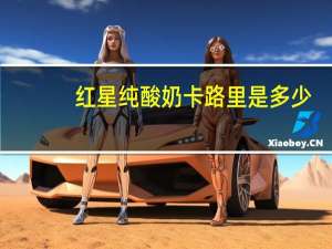 红星 纯酸奶卡路里是多少