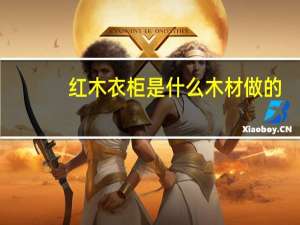 红木衣柜是什么木材做的