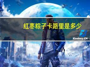 红枣粽子卡路里是多少