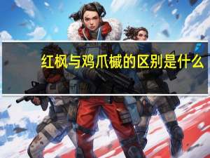 红枫与鸡爪槭的区别是什么