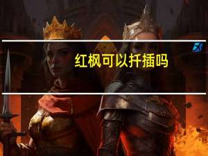 红枫可以扦插吗