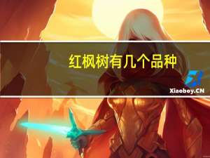 红枫树有几个品种