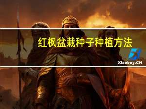 红枫盆栽种子种植方法