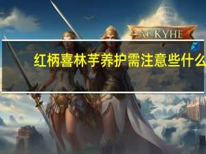 红柄喜林芋养护需注意些什么