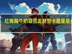 红梅 酸牛奶凝固发酵型卡路里是多少