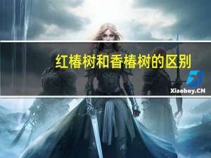 红椿树和香椿树的区别