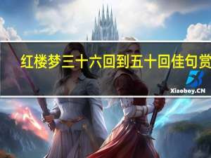 红楼梦三十六回到五十回佳句赏析