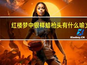 红楼梦中银样蜡枪头有什么喻义