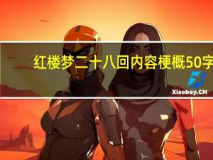 红楼梦二十八回内容梗概50字