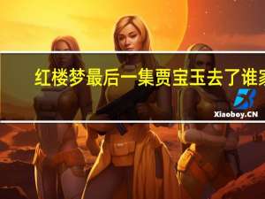 红楼梦最后一集贾宝玉去了谁家