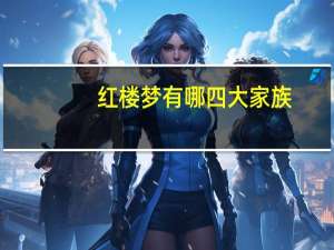 红楼梦有哪四大家族