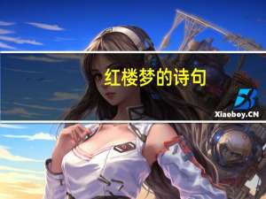 红楼梦的诗句