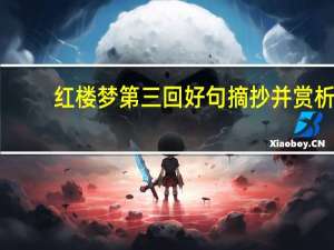 红楼梦第三回好句摘抄并赏析