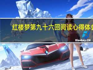 红楼梦第九十六回阅读心得体会