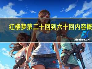 红楼梦第二十回到六十回内容概括
