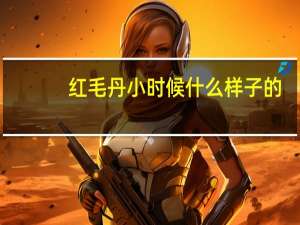 红毛丹小时候什么样子的