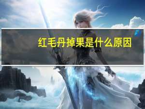 红毛丹掉果是什么原因