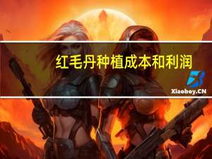 红毛丹种植成本和利润
