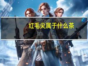 红毛尖属于什么茶