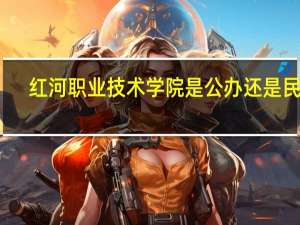 红河职业技术学院是公办还是民办