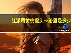 红派司 黄桃罐头卡路里是多少