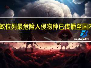 红火蚁位列最危险入侵物种 已传播至国内10余省份