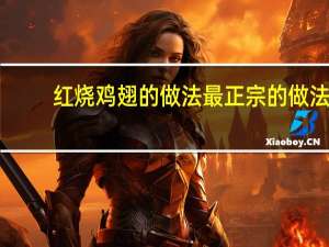 红烧鸡翅的做法最正宗的做法