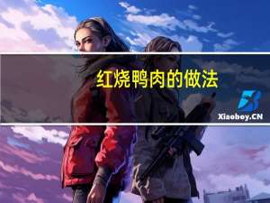 红烧鸭肉的做法（红烧鸭肉）