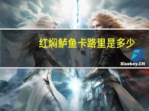红焖鲈鱼卡路里是多少