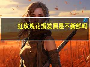 红玫瑰花瓣发黑是不新鲜吗