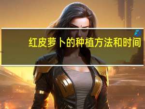 红皮萝卜的种植方法和时间