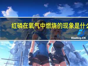 红磷在氧气中燃烧的现象是什么