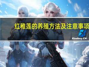 红稚莲的养殖方法及注意事项：喜温暖、干燥和通风的环境
