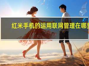 红米手机的运用联网管理在哪里