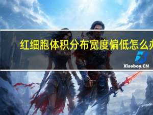 红细胞体积分布宽度偏低怎么办（红细胞体积分布宽度偏低）