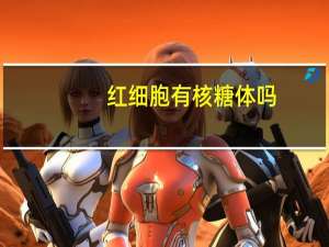 红细胞有核糖体吗