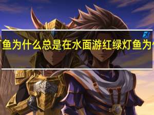 红绿灯鱼为什么总是在水面游 红绿灯鱼为什么总死呢e