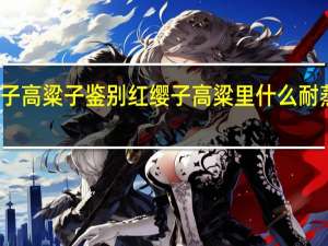 红缨子高粱子鉴别 红缨子高粱里什么耐蒸煮的特性