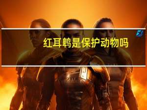 红耳鹎是保护动物吗