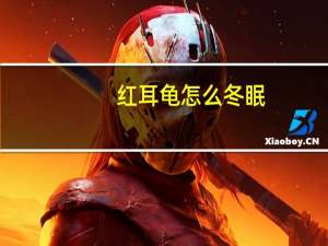 红耳龟怎么冬眠