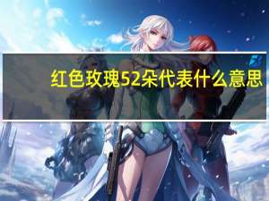 红色玫瑰52朵代表什么意思