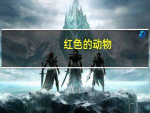 红色的动物
