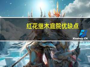 红花继木庭院优缺点