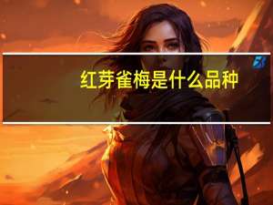 红芽雀梅是什么品种