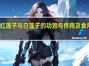 红莲子与白莲子的功效与作用及食用方法