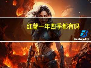 红薯一年四季都有吗