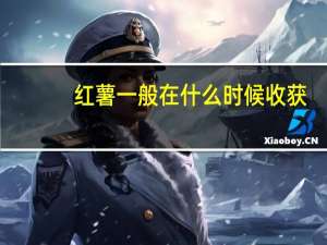 红薯一般在什么时候收获