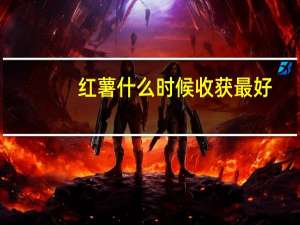 红薯什么时候收获最好