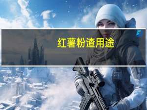 红薯粉渣用途